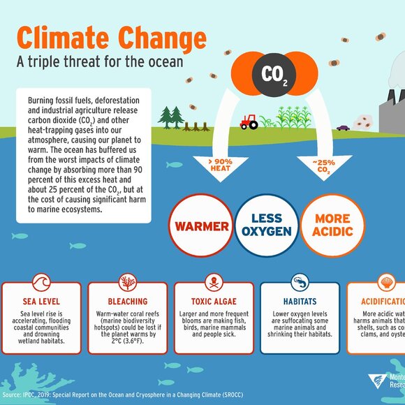 What is Climate Change?-BRAND NEW, Last ONE - Picture 1 of 4